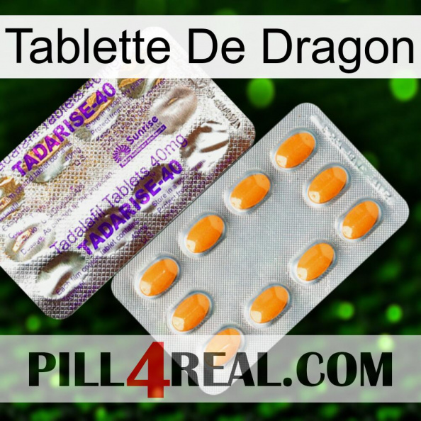 Dragon Tablet new12